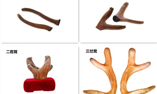 白煮鸡营养价值网-分享白煮鸡的做法调料，白煮鸡营养价值高吗知识库